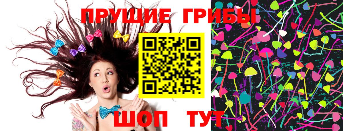 Галлюциногенные грибы Psilocybine cubensis Сухой Лог