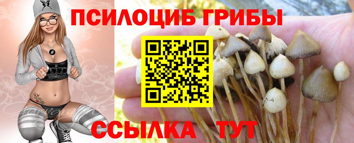 Сухой Лог  Галлюциногенные грибы Psilocybine cubensis  Псилоцибиновые грибы ЛСД  Вход с VPN 